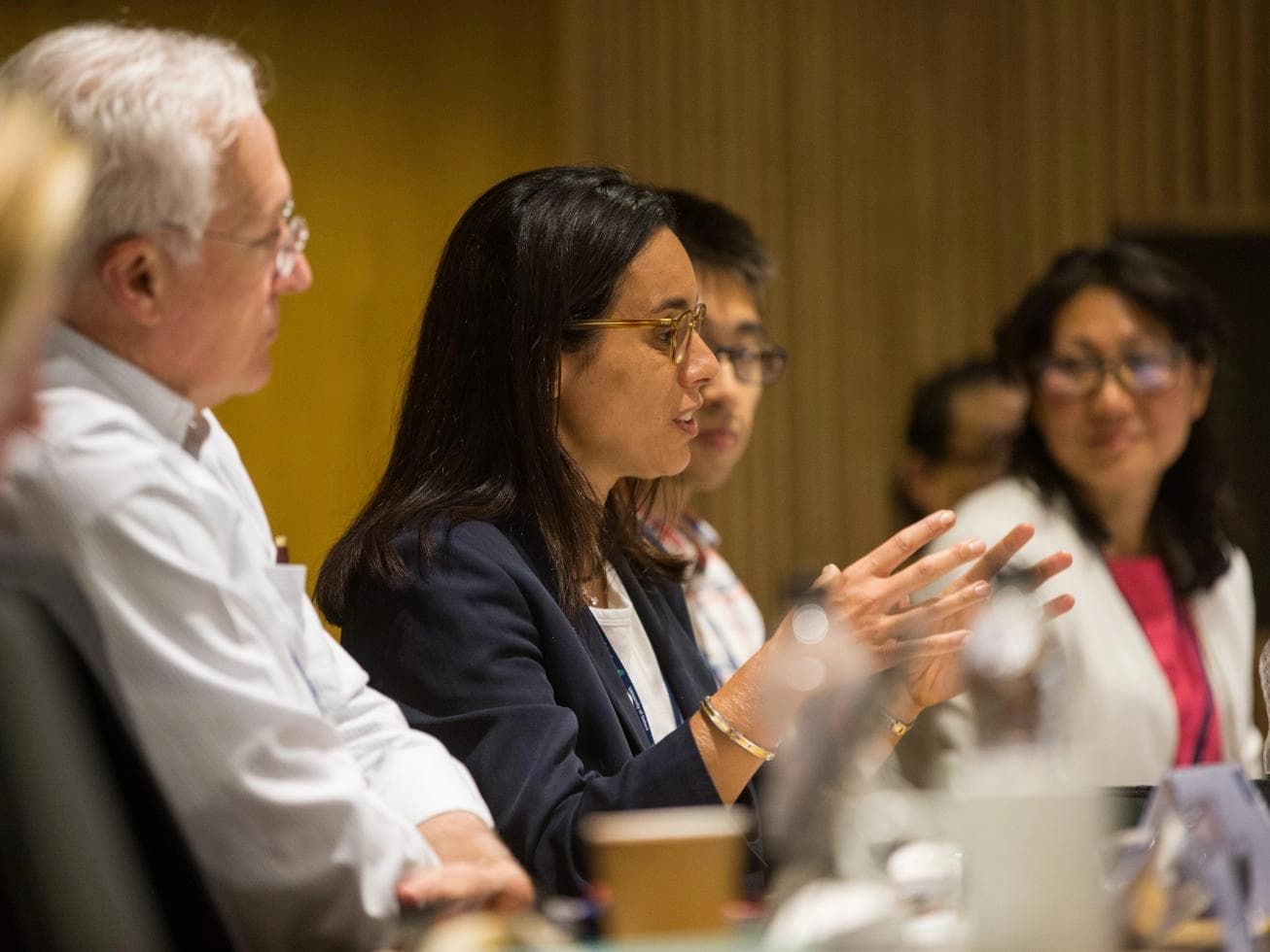 Oxford Negotiation Strategies Programme